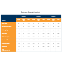 Competitive Analysis