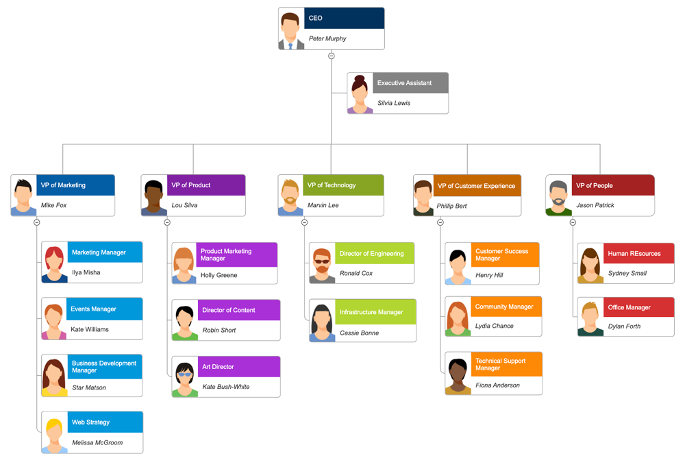 organizational chart example