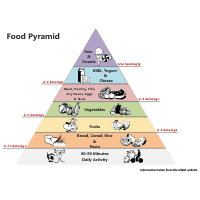 Food Pyramid