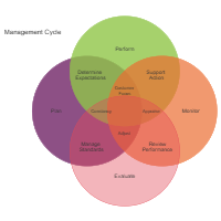 Management Cycle