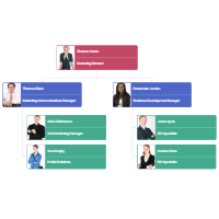 Organizational Chart Example
